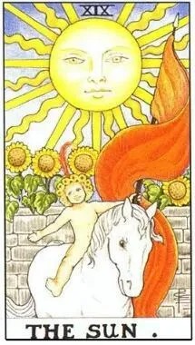 Two of Cups Tarot Card