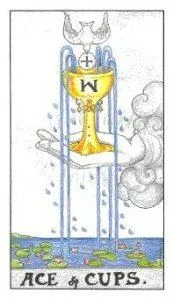 Five of Wands Tarot Card